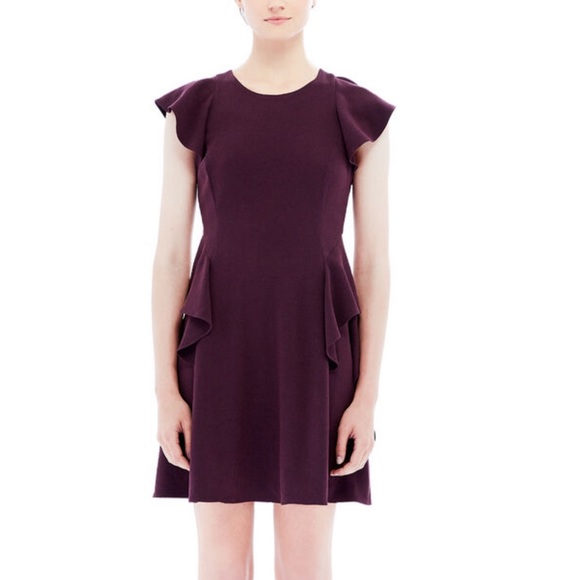 Rebecca Taylor Dresses & Skirts - NWOT Rebecca Taylor Short Sleeve Crepe Ruffle Dress